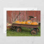 Carte Postale Citrouilles en vieux wagon (Devant / Derrière)