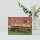 Carte Postale Citrouilles en vieux wagon (Debout devant)