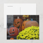 Carte Postale Citrouilles et Chrysanthèmes (Devant / Derrière)