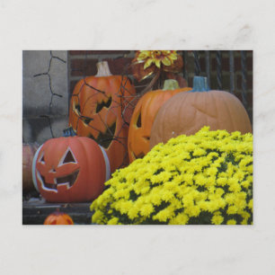 Carte Postale Citrouilles et Chrysanthèmes