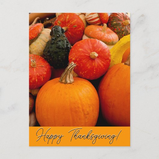 Carte Postale Citrouilles et courges de Bonne Action de Grâce (Devant)