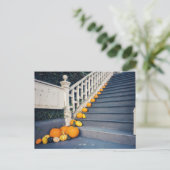 Carte Postale Citrouilles sur l'escalier (Debout devant)