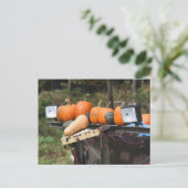 Carte Postale Citrouilles sur un camion personnalisé de campagne (Debout devant)