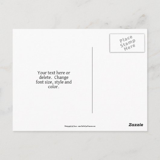 Carte Postale Citrouilles sur un camion personnalisé de campagne (Dos)