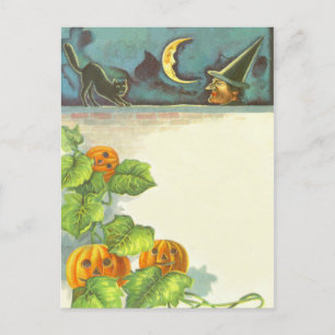 Carte Postale Citrouilles Vignes Jack O Lantern Sorcière Chat No