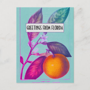 Carte postale Citrus Floride