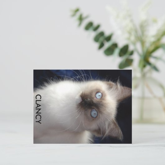 Carte Postale cla1, CLANCY (Debout devant)