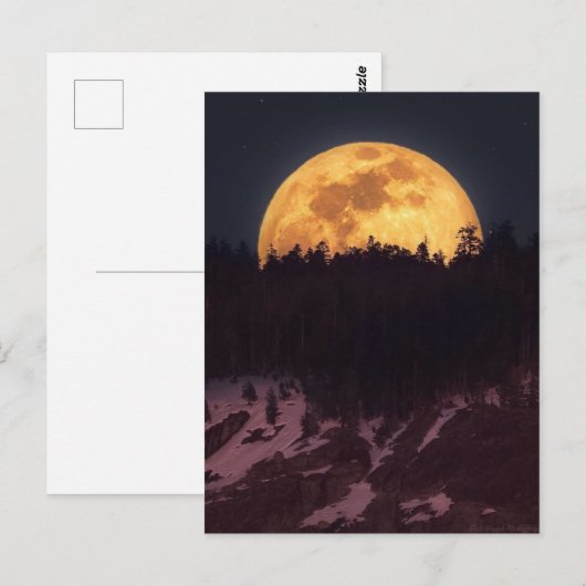 Carte Postale Clair de lune (Devant / Derrière)