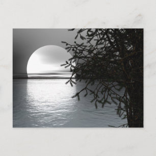Carte Postale Clair de lune sur l'eau