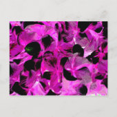 Carte Postale clair foncé 2 (Devant)