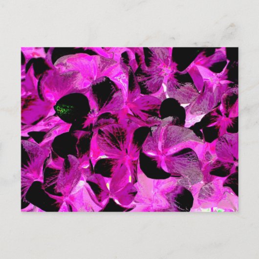 Carte Postale clair foncé 2 (Devant)