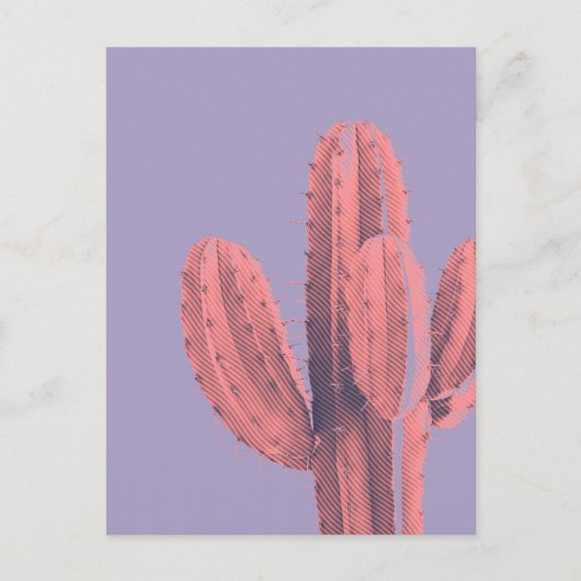 Carte Postale Clair Neon rose violet Cactus Succulent Photo (Devant)