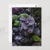 Carte Postale Clam géant (Devant / Derrière)