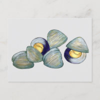 Clams Clambake Rhode Island Nouvelle-Angleterre
