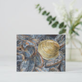 Carte postale Clams et Quahog Art (Debout devant)