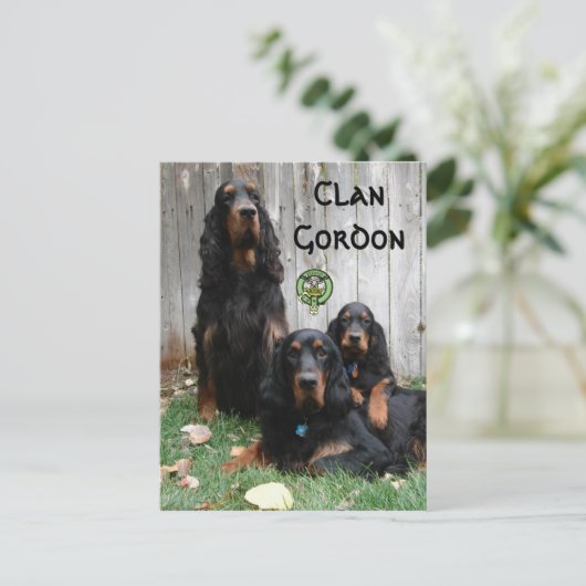 Carte Postale Clan Gordon, Gordon Setter Generations Postcard (Debout devant)