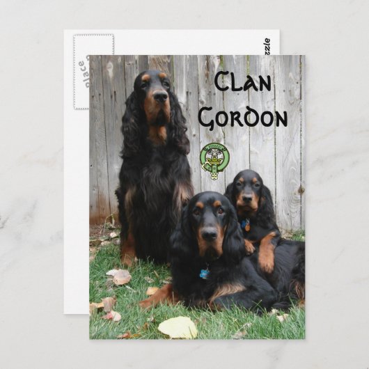 Carte Postale Clan Gordon, Gordon Setter Generations Postcard (Devant / Derrière)