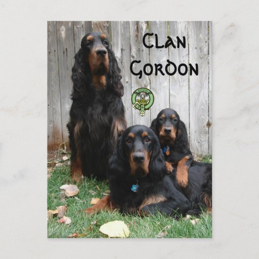 Carte Postale Clan Gordon, Gordon Setter Generations Postcard (Devant)