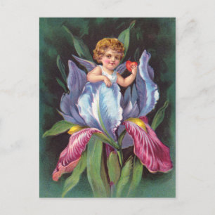 Carte Postale Clapsaddle : Fleur Cherub Iris