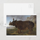 Carte Postale Clara les rhinocéros par Jean-Baptiste Oudry (Devant / Derrière)