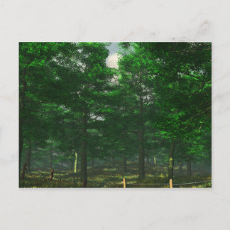 Carte postale Clarité de la nature