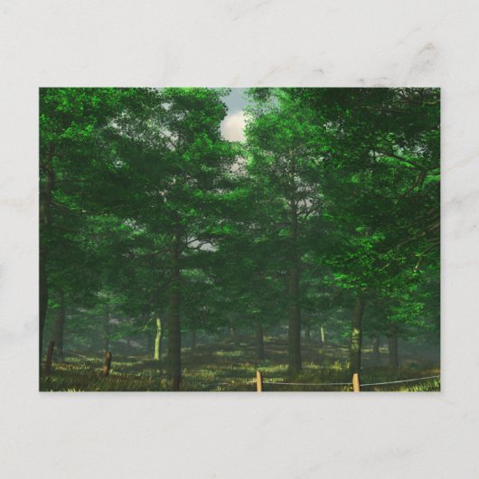 Carte postale Clarité de la nature (Devant)