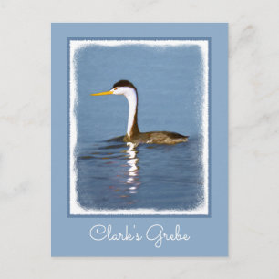 Carte Postale Clark's Grebe Painting - Art original pour les ois