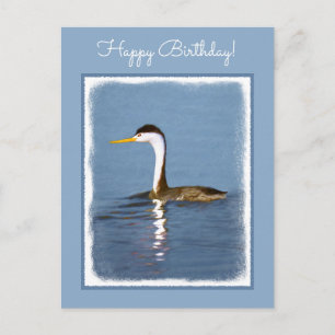 Carte Postale Clark's Grebe Painting - Art original pour les ois