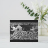 Carte Postale Clarté (Debout devant)