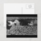 Carte Postale Clarté (Devant / Derrière)