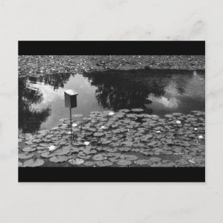 Carte Postale Clarté