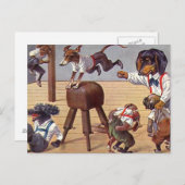 Carte Postale Classe de gym pour les chiens (Devant / Derrière)