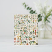 Carte Postale Classifications de Plante de violet, de pavot (Debout devant)