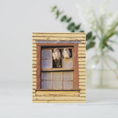 Carte postale classique (Debout devant)