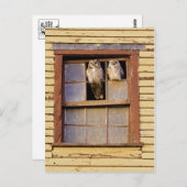 Carte postale classique (Devant / Derrière)