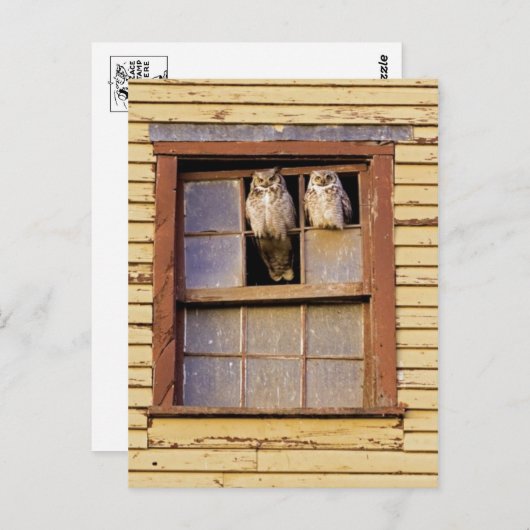 Carte postale classique (Devant / Derrière)