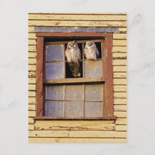 Carte postale classique