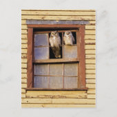 Carte postale classique (Devant)