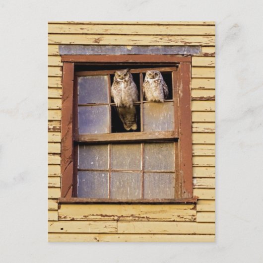 Carte postale classique (Devant)