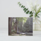 Carte postale classique (Debout devant)