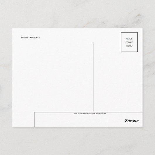 Carte postale classique (Dos)