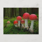 Carte postale classique (Devant)