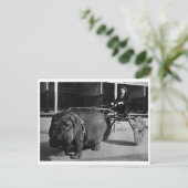 Carte postale classique (Debout devant)