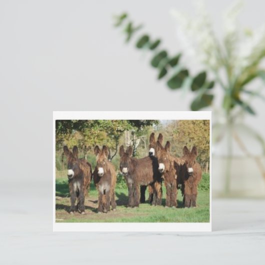 Carte postale classique (Debout devant)