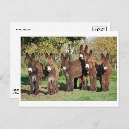 Carte postale classique (Devant / Derrière)