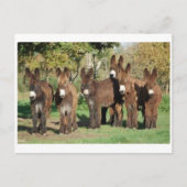 Carte postale classique (Devant)