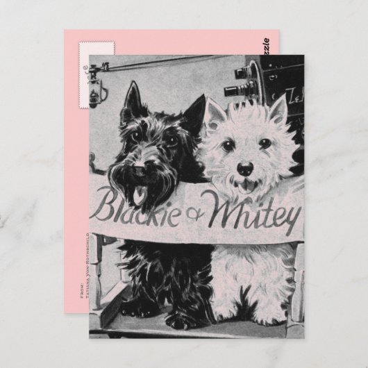 * Carte Postale classique Pretty Poochies Rose * (Devant / Derrière)