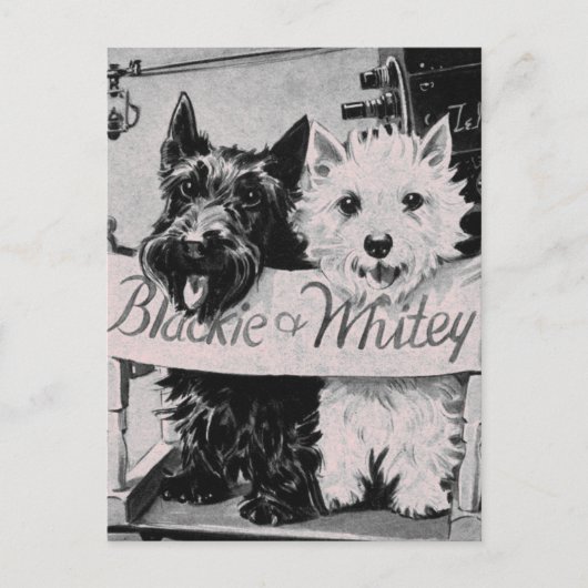 * Carte Postale classique Pretty Poochies Rose * (Devant)