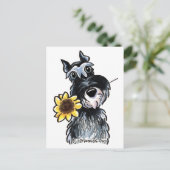 Carte Postale Classique Sunny Schnauzer (Debout devant)