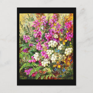 Carte postale classique/Vintage-Albert Durer Lucas